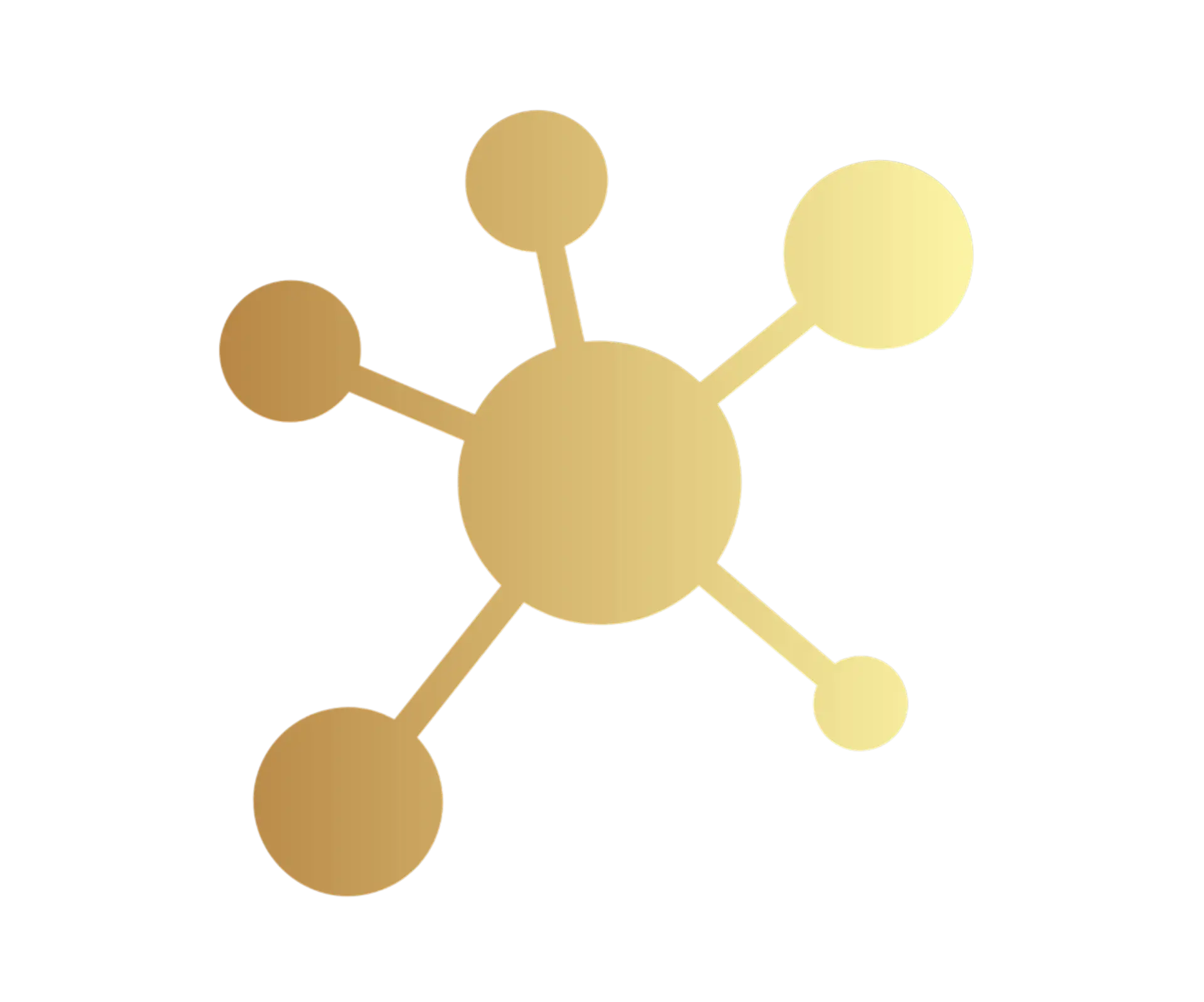 computer network consultants